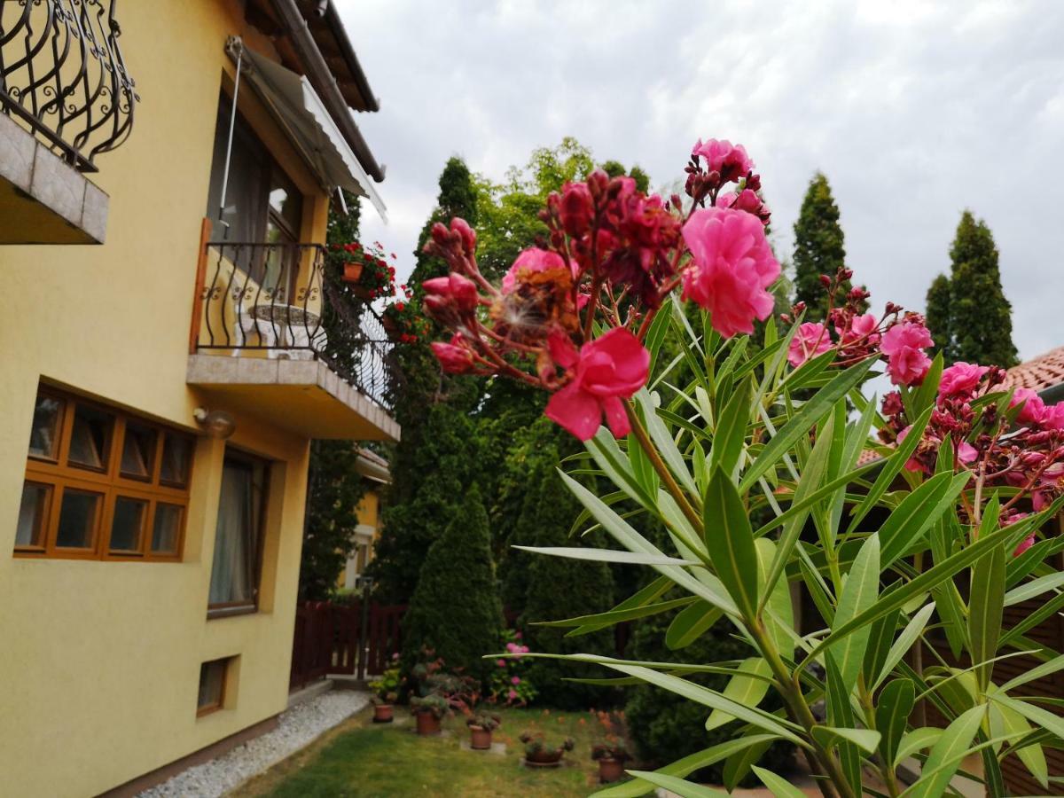 Bed and Breakfast Julia Panzio Гайдусобосло Екстер'єр фото
