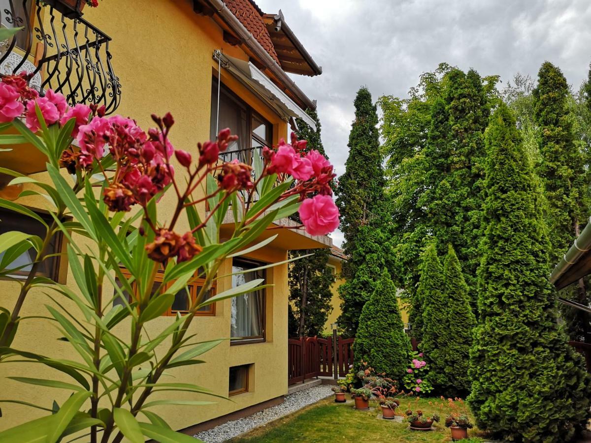 Bed and Breakfast Julia Panzio Гайдусобосло Екстер'єр фото